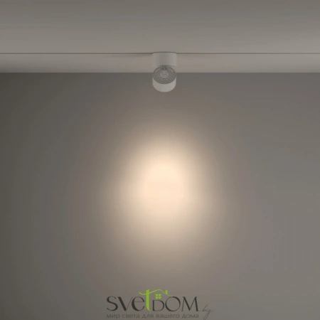 TR084-1-15W4K-D-W Maytoni