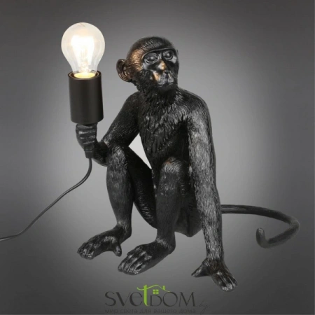 APL.309.24.01 Aployt