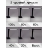 Настольная лампа Citilux Ньютон CL803081 CITILUX