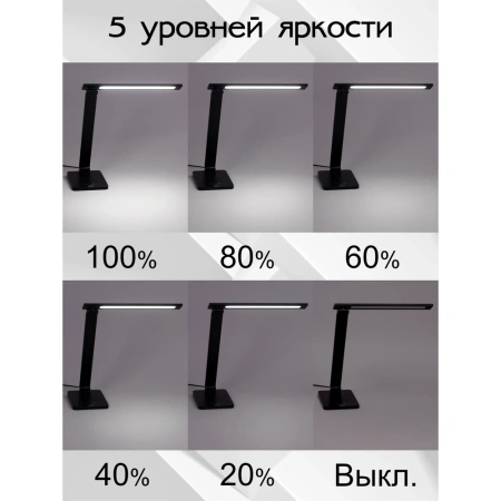Настольная лампа Citilux Ньютон CL803081 CITILUX
