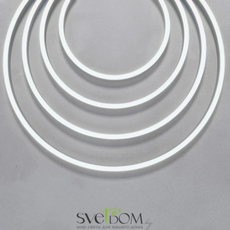 Гибкий неон 1206 24В 9,6Вт/м 6000K IP67 5м 200681 | Svetdom.by