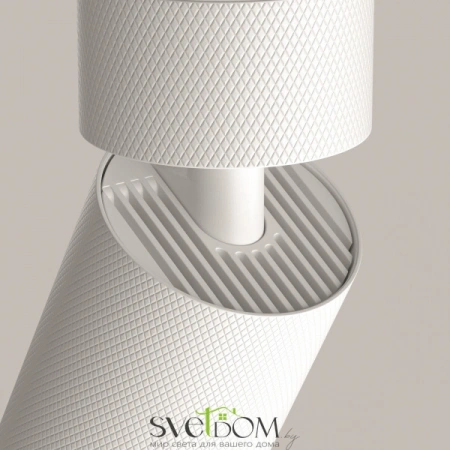 Потолочные светильники Maytoni C082CL-01-GU10-W от Магазина Svetdom.by