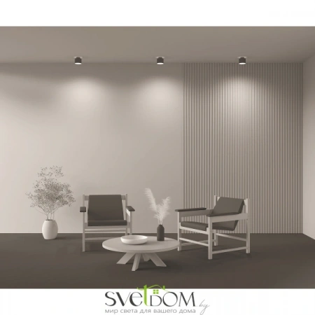 Потолочные светильники Maytoni C009CW-L12B4K от Магазина Svetdom.by