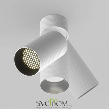 Потолочные светильники Maytoni C082CL-01-GU10-W от Магазина Svetdom.by