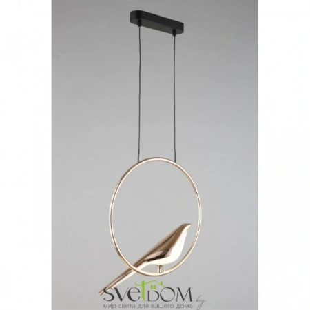 Фото Подвесные светильники Aployt APL.822.06.10 Подвесные светильники Aployt APL.822.06.10 от Магазина Svetdom.by