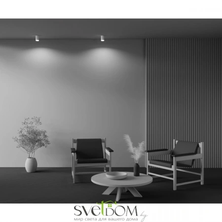 Потолочные светильники Maytoni C008CW-01W от Магазина Svetdom.by