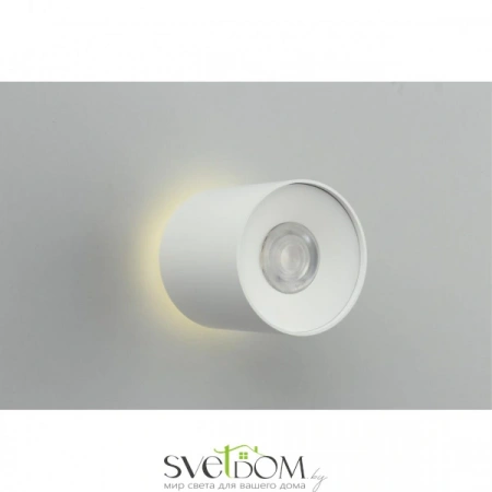 Накладные светильники Omnilux OML-100309-16 от Магазина Svetdom.by