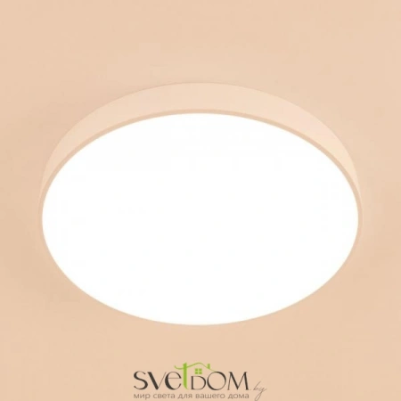 Потолочные светильники CITILUX CL72495G0 от Магазина Svetdom.by