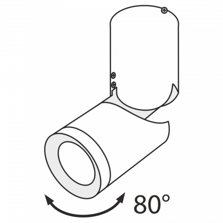 Потолочные светильники Maytoni C019CW-01W4K от Магазина Svetdom.by