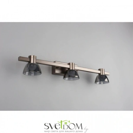 Настенные светильники APL.788.01.03 Aployt | Svetdom.by