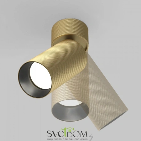 Потолочные светильники Maytoni C082CL-01-GU10-MG от Магазина Svetdom.by