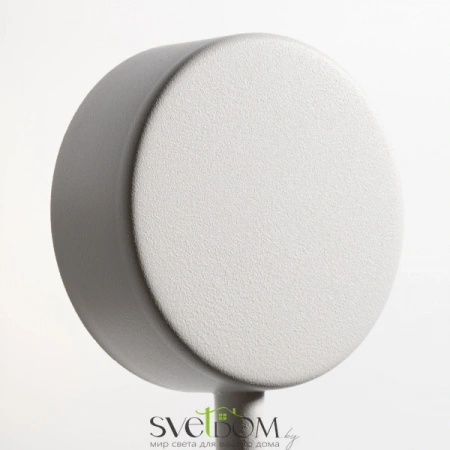 Настенные светильники FR5363WL-02W1 Freya | Svetdom.by