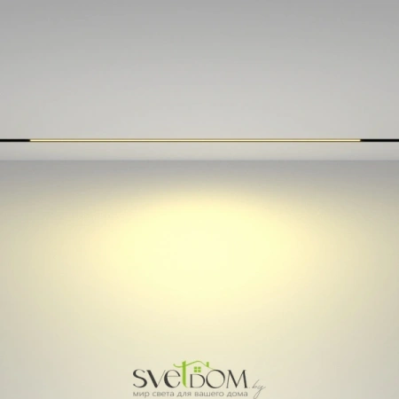 TR030-2-30W2.7K-B Maytoni