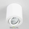 Citilux Дюрен CL538111 Светильник накладной поворотный Белый CITILUX