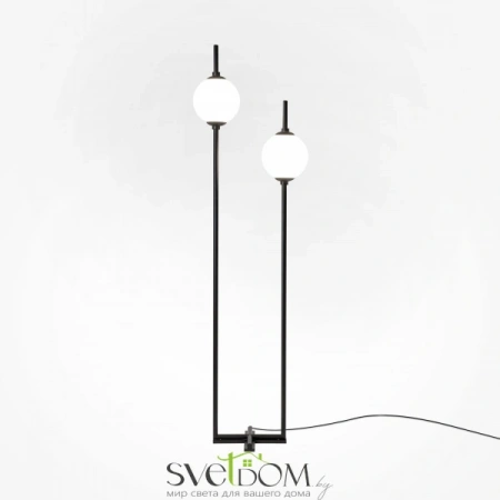 Z020FL-L12BK Maytoni