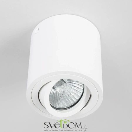 Citilux Дюрен CL538111 Светильник накладной поворотный Белый CITILUX