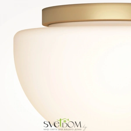 Потолочные светильники Maytoni MOD270CL-01G от Магазина Svetdom.by