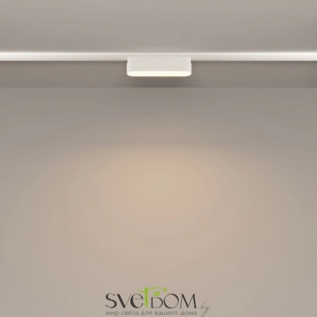 TR080-1-6W3K-W Maytoni