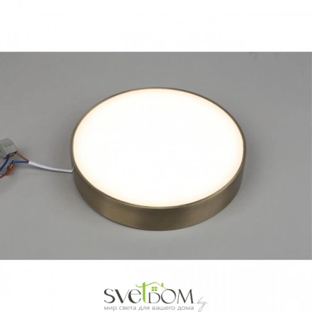 Настенно-потолочные светильники Aployt APL.0114.29.24 от Магазина Svetdom.by