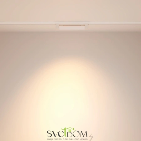 Трековый светильник TR010-1-10W3K-M-W Maytoni