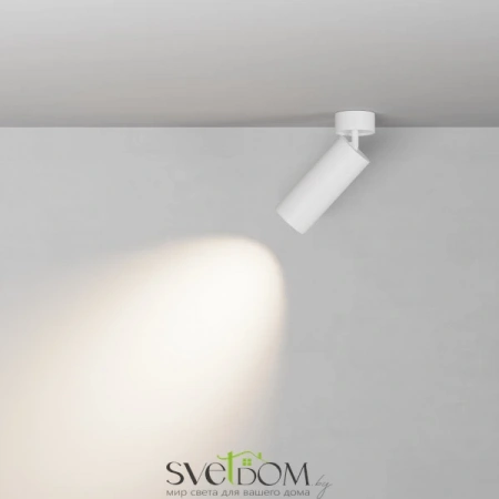 Потолочные светильники Maytoni C055CL-L20W2.7-3-4K-M-W от Магазина Svetdom.by