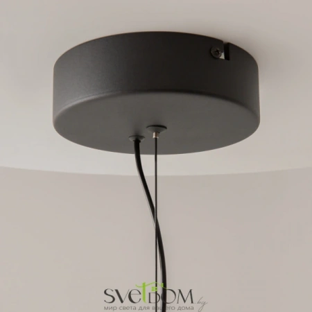 Подвесные светильники Maytoni MOD397PL-L10B3K от Магазина Svetdom.by