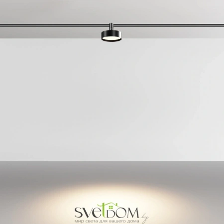 TR204-1-12W3K-B Maytoni