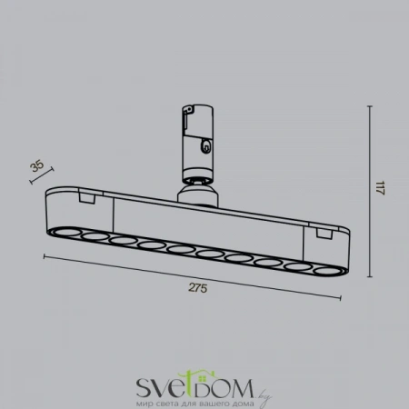 TR203-1-10W3K-S-B Maytoni