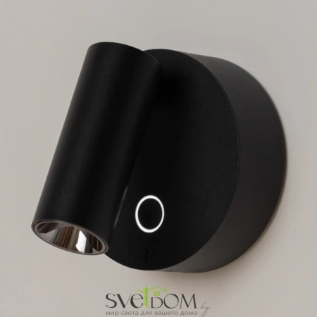 Настенные светильники C079WL-L3B3K Maytoni | Svetdom.by