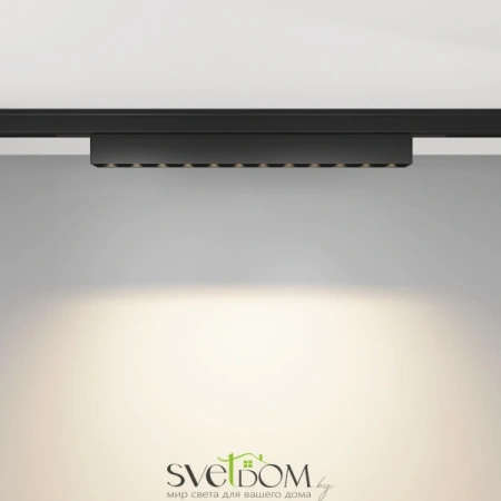 TR193-1-10W3K-M-B Maytoni