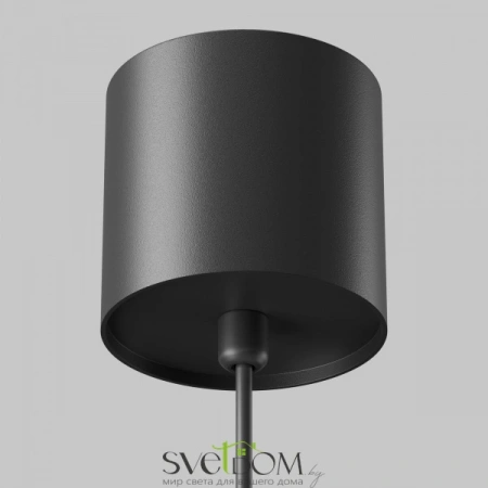 Подвесные светильники Maytoni P100PL-20W3K-B от Магазина Svetdom.by