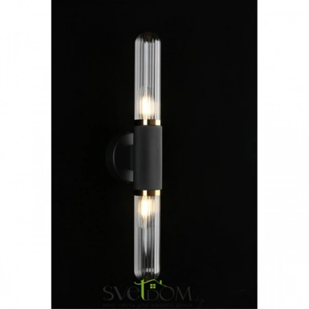 Настенные светильники APL.307.31.02 Aployt | Svetdom.by