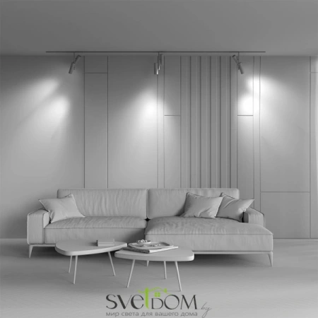 TR005-2-2X12W3K-BBS Maytoni