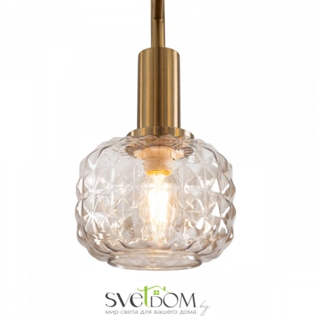 Потолочные светильники Freya FR5366CL-05BS от Магазина Svetdom.by