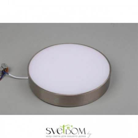 Настенно-потолочные светильники Aployt APL.0114.19.24 от Магазина Svetdom.by