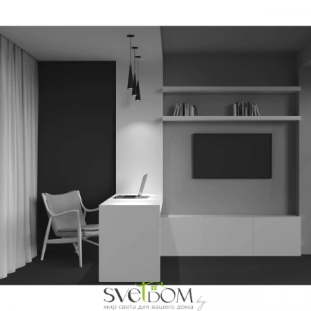 Подвесные светильники Maytoni P318PL-01B от Магазина Svetdom.by