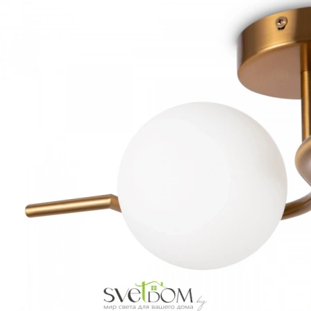 Бра и настенные светильники FR5124WL-02BS Freya | Svetdom.by