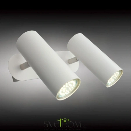 Настенные светильники APL.004.01.02 Aployt | Svetdom.by