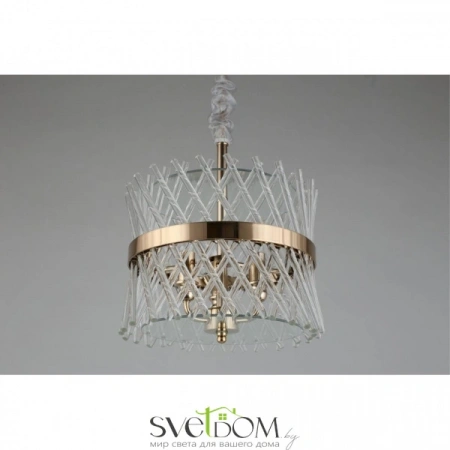 Подвесные светильники Aployt APL.734.06.03 от Магазина Svetdom.by