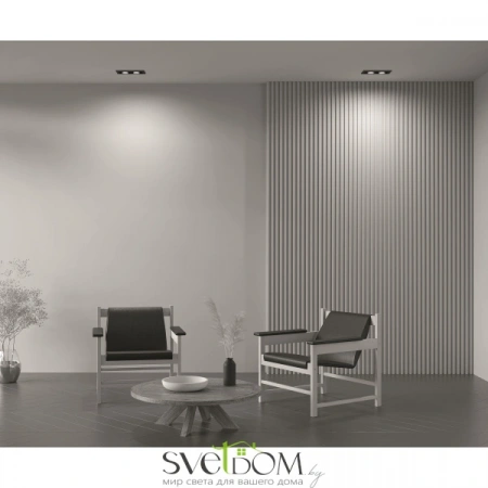 Встраиваемые светильники Maytoni DL008-2-02-B от Магазина Svetdom.by