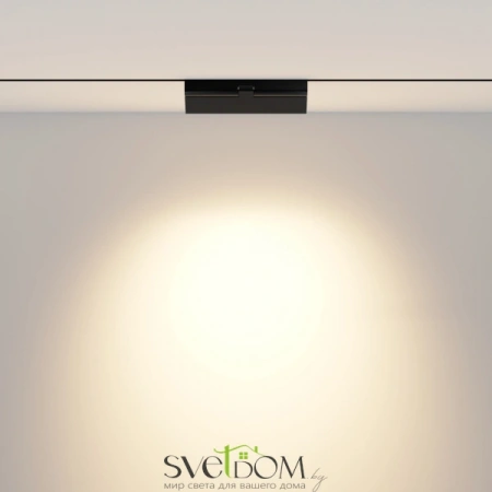 TR033-4-12WTW-DD-B Maytoni