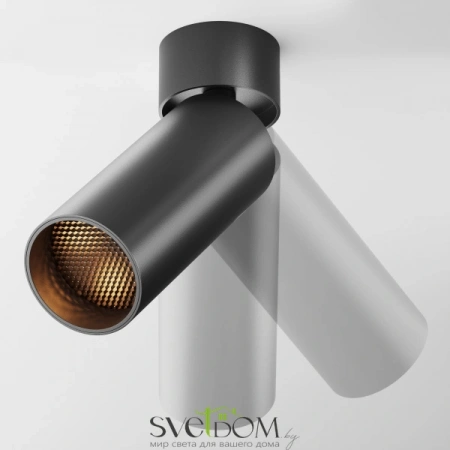 Потолочные светильники Maytoni C055CL-L12B2.7K-W-B от Магазина Svetdom.by