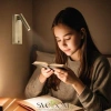 Citilux Декарт CL704433 LED USB Светильник с выключателем Бронза CITILUX