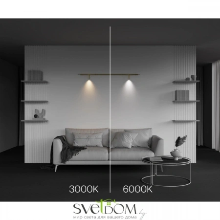 Светильники Maytoni C102CL-3W3-6K-BS от Магазина Svetdom.by