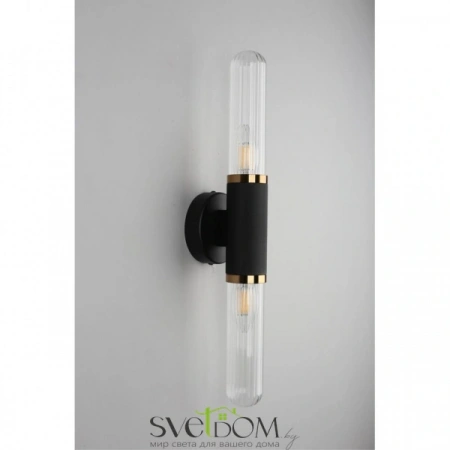 Настенные светильники APL.307.31.02 Aployt | Svetdom.by