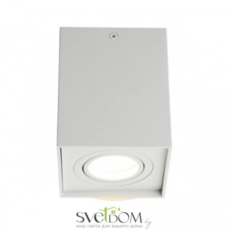 Накладные светильники Omnilux OML-101109-01 от Магазина Svetdom.by
