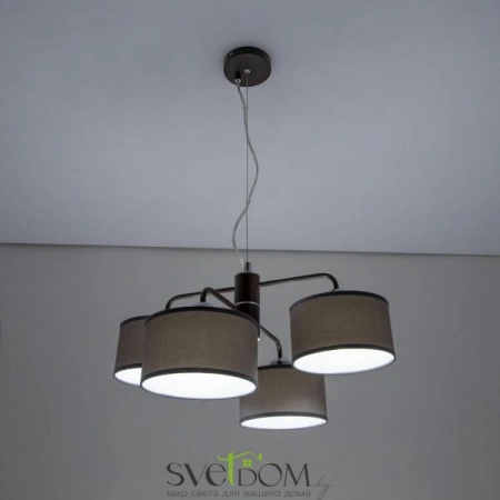 Люстры подвесныеCL428241 CITILUX | Svetdom.by