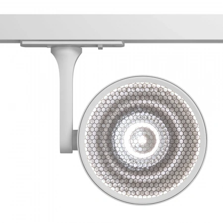 TR024-1-18W4K Maytoni