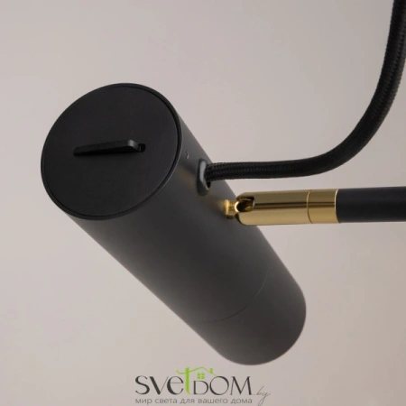 MOD129FL-01B Maytoni