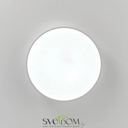 Потолочные светильники CITILUX CL72470G0 от Магазина Svetdom.by